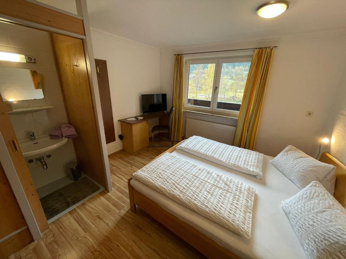 Apartment Wildalmblick Neukirchen am Grossvenediger Luaran gambar